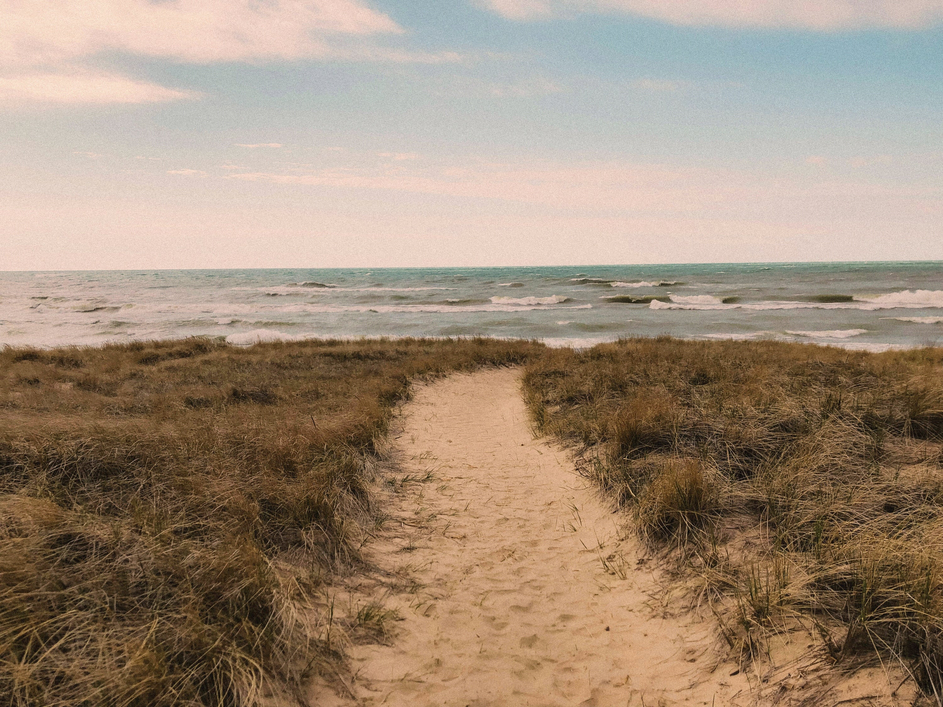 Forest Bathing Experience - April 25, 7pm