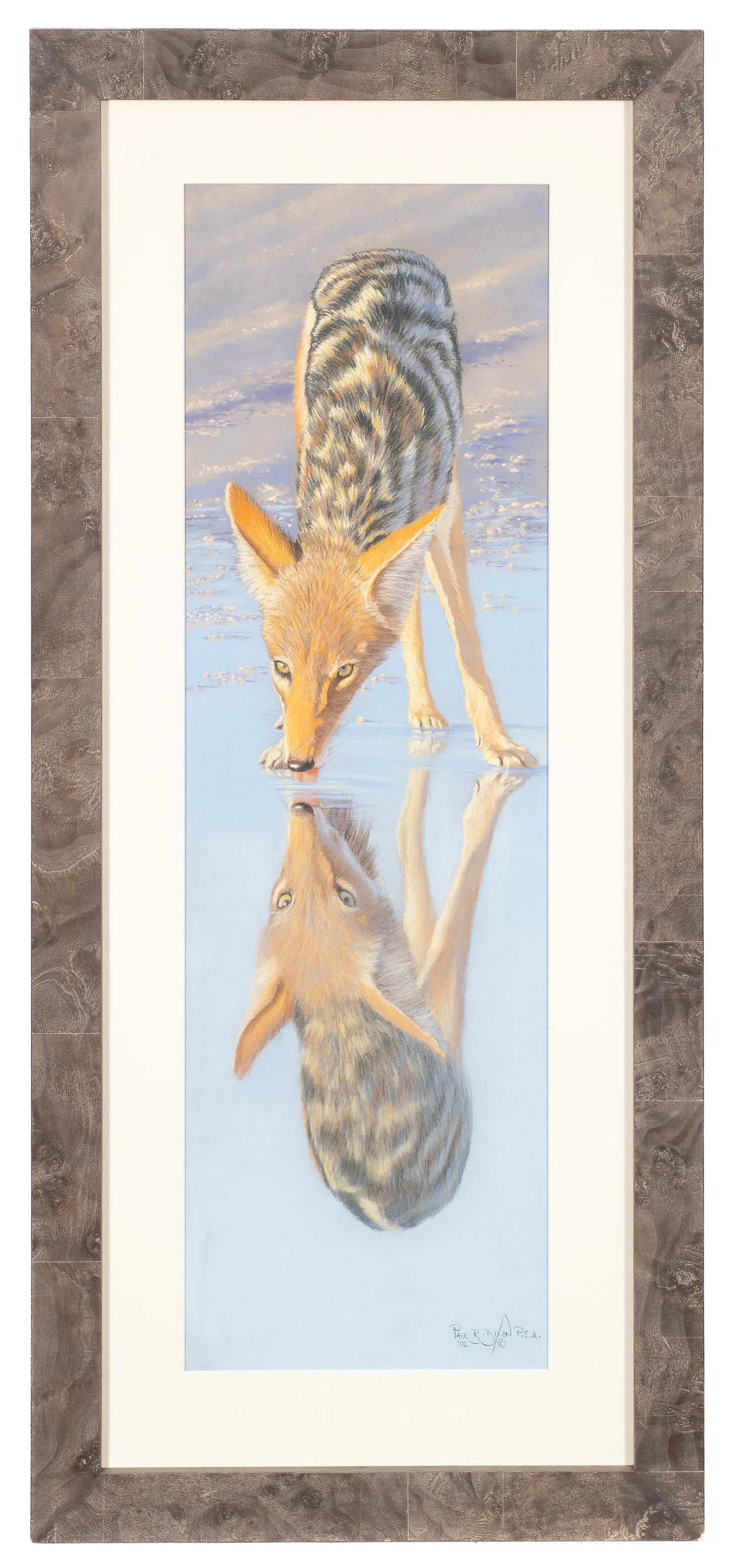 Black-backed Jackal, Pastel by Paul Dixon