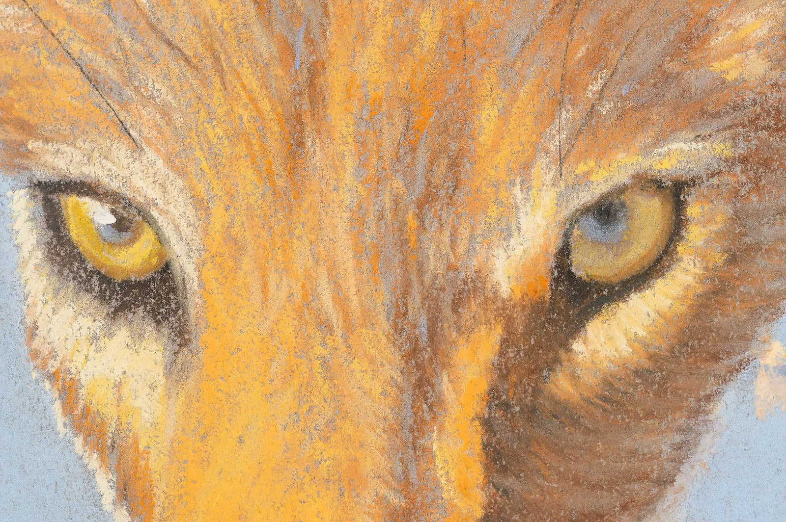 Black-backed Jackal, Pastel by Paul Dixon