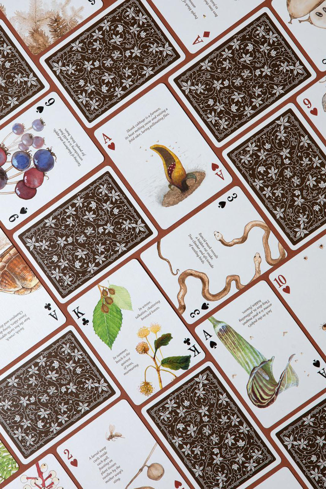 Eastern Forests Playing Cards