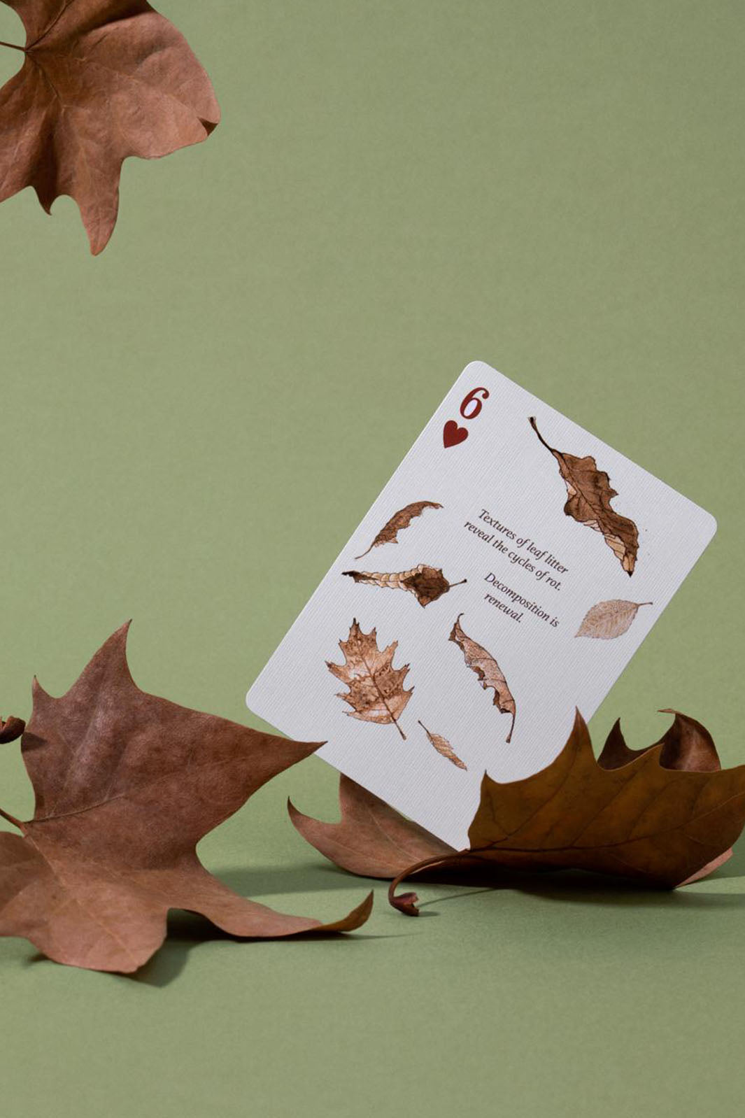 Eastern Forests Playing Cards