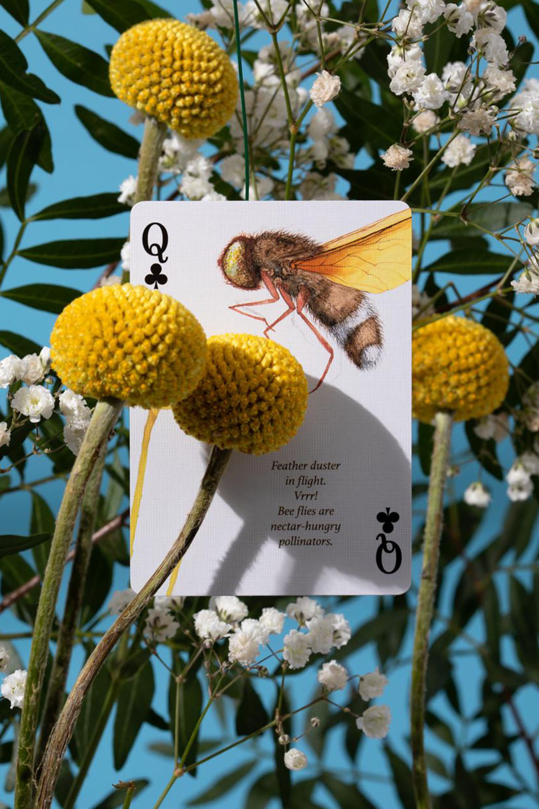 Eastern Forests Playing Cards