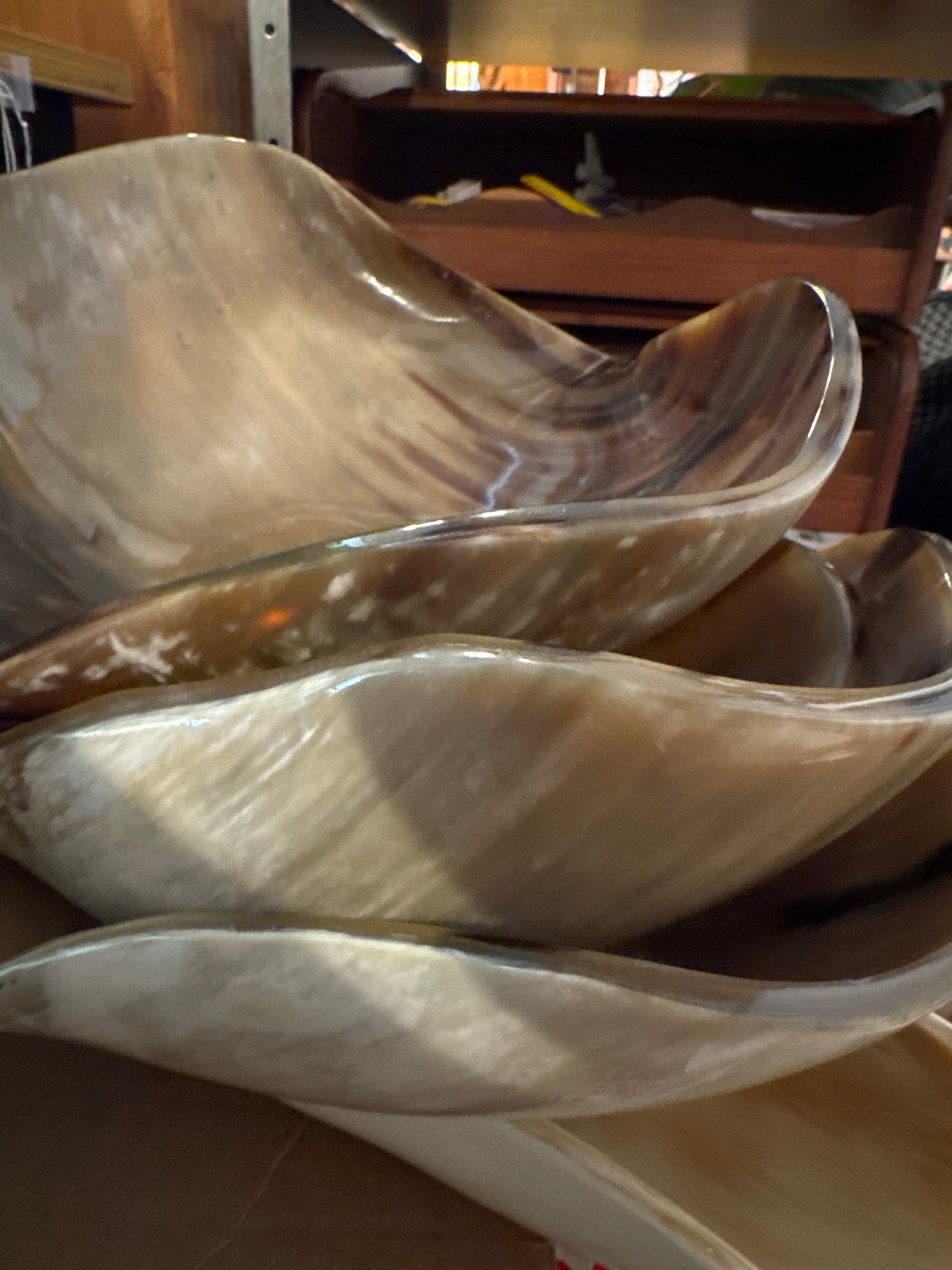 Resin Fruit Bowl- Tortoise
