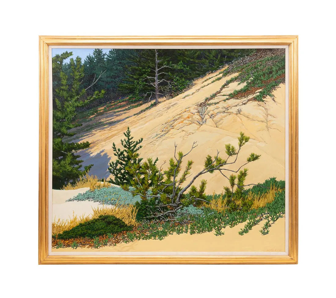 'COASTAL EVERGREENS', Oil on Canvas by Peter Loftus