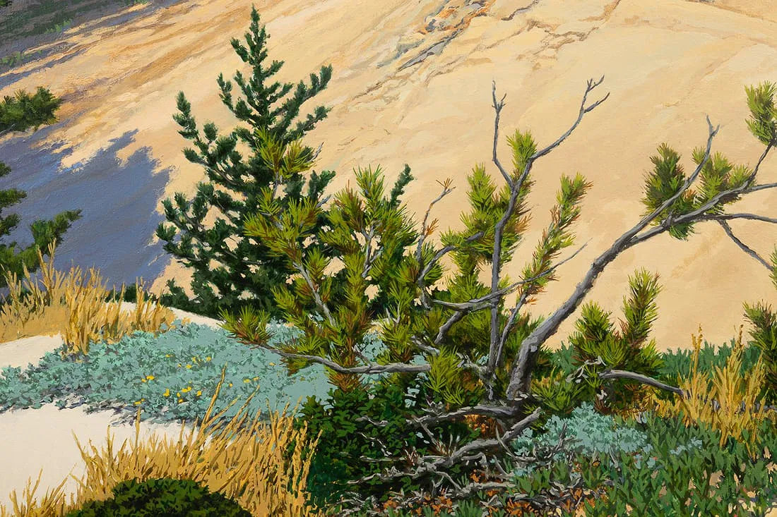 'COASTAL EVERGREENS', Oil on Canvas by Peter Loftus