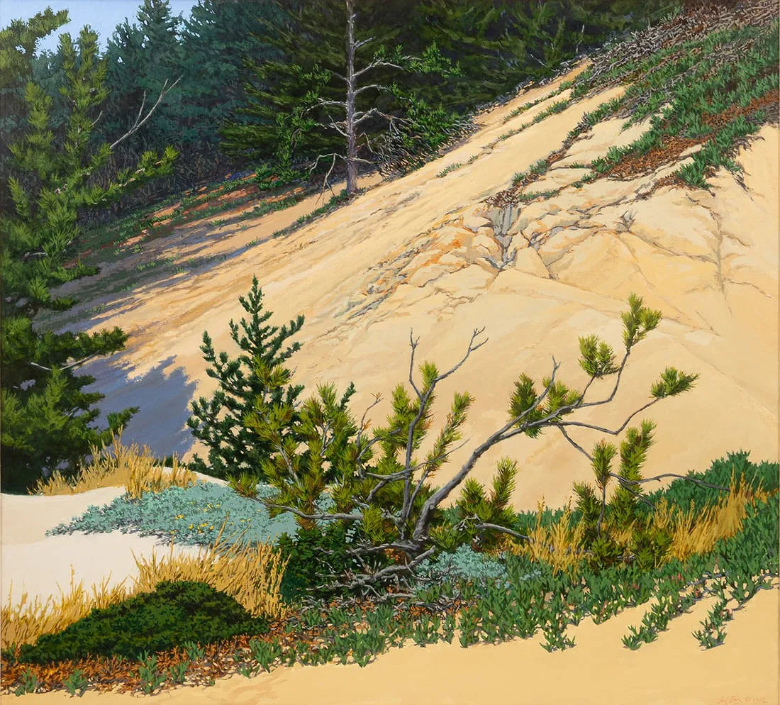 'COASTAL EVERGREENS', Oil on Canvas by Peter Loftus